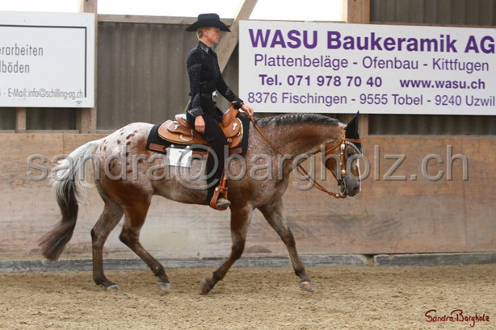 32-ApHC OWP_019.jpg